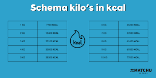 6 kilo afvallen in 2 weken