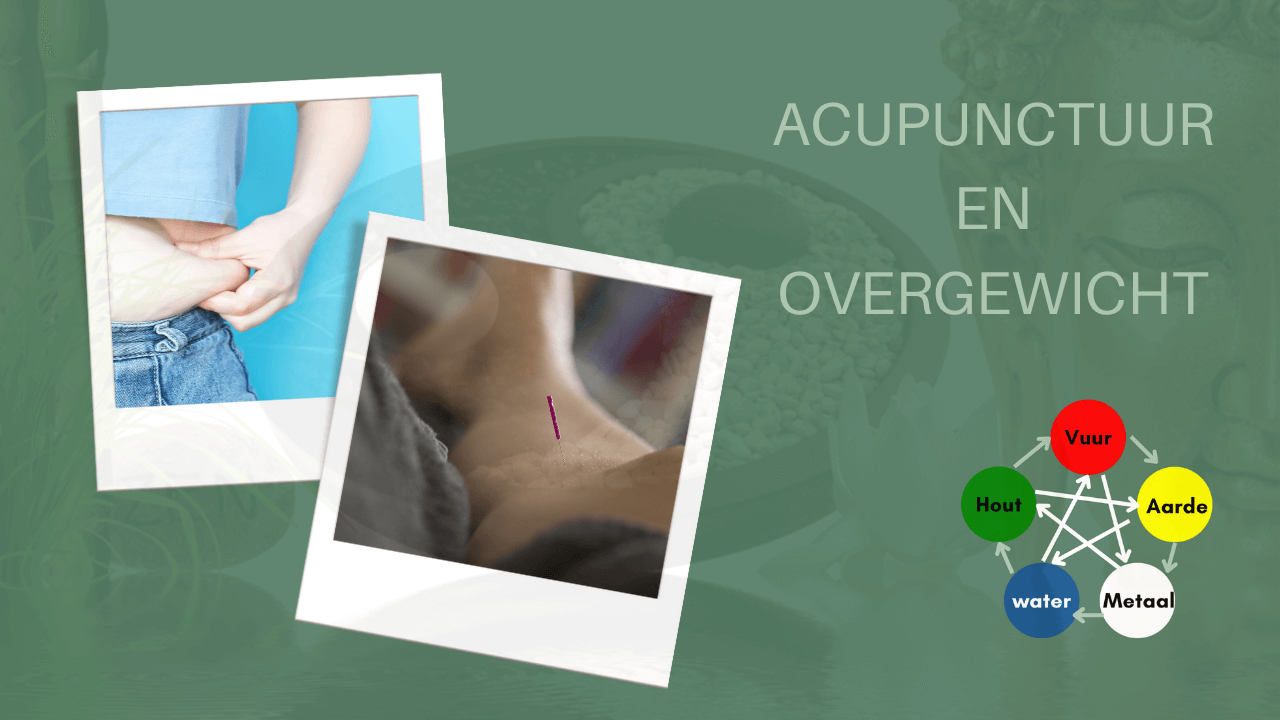 afvallen acupunctuur dieet
