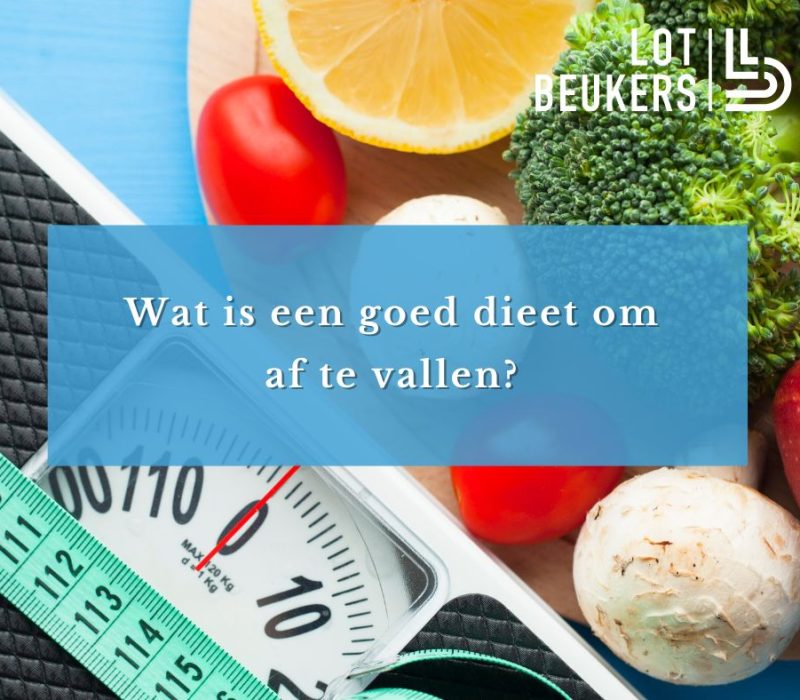 wat is een goed dieet om snel af te vallen