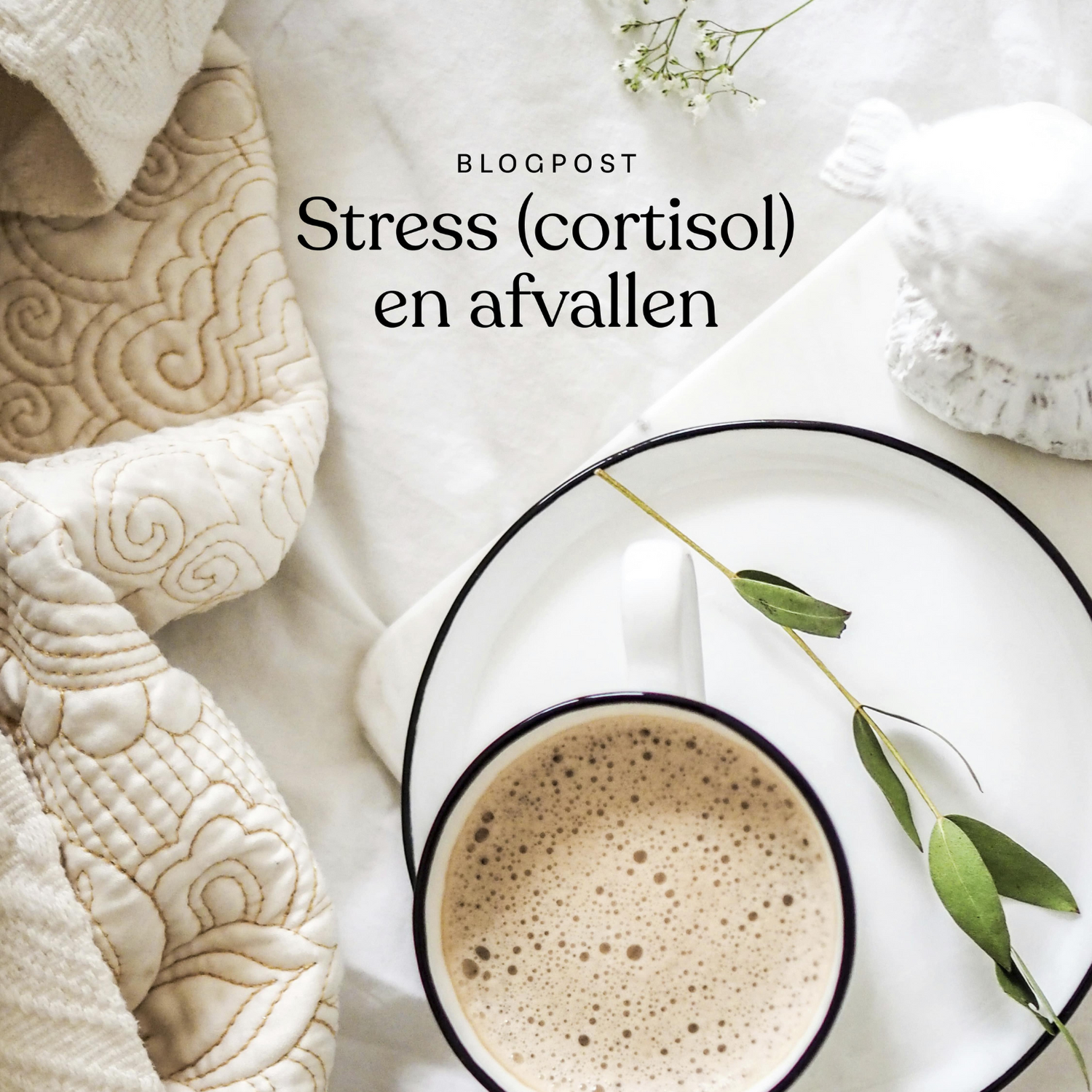 cortisol en afvallen
